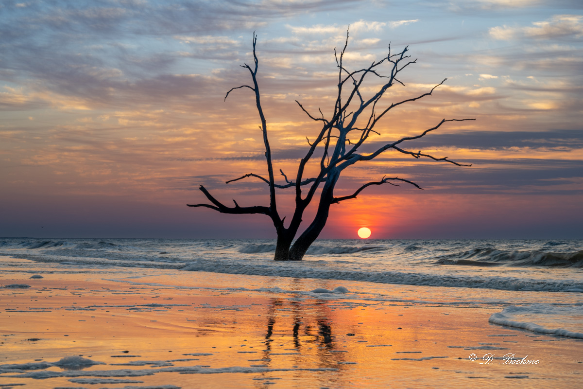 _DSC5500.jpg