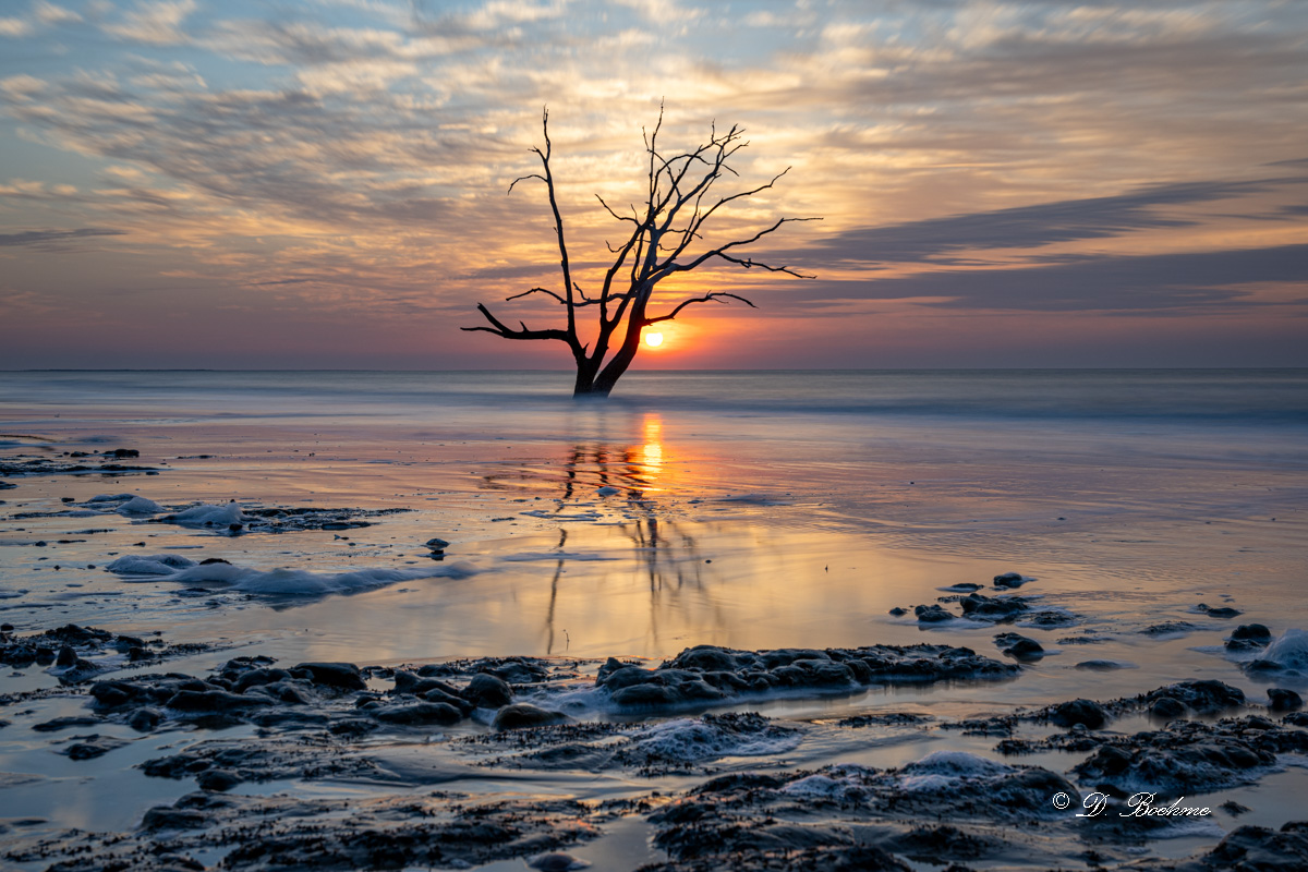 _DSC5506.jpg