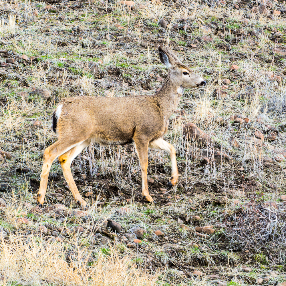 _DSC5513.jpg