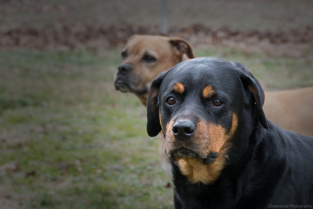 _DSC5516-Edit-2.jpg