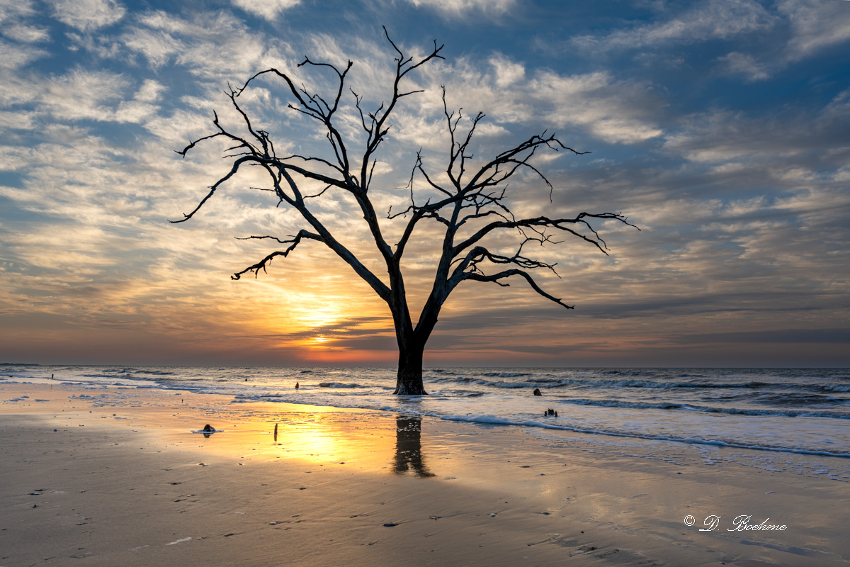 _DSC5530-HDR.jpg