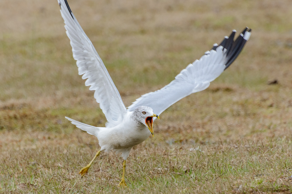 _DSC5557-Edit.jpg