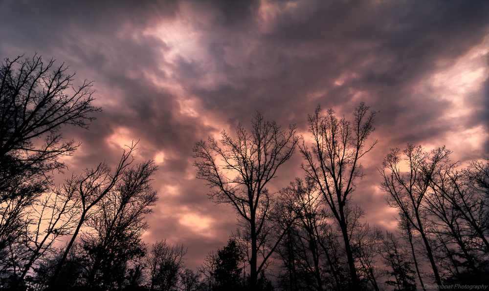 _DSC5574-Edit.jpg