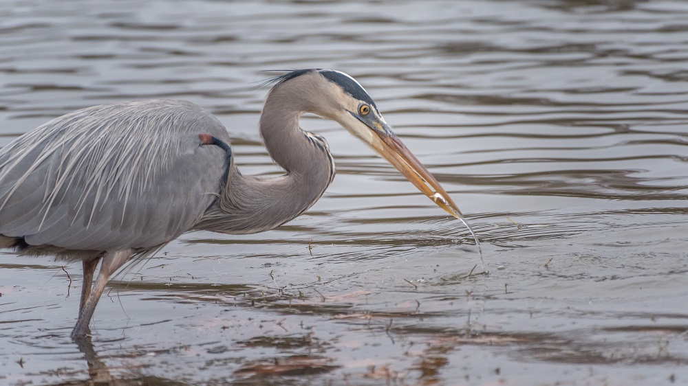 _DSC5611-Edit.jpg