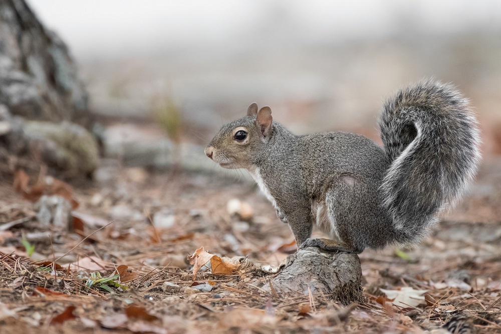 _DSC5657-Edit.jpg