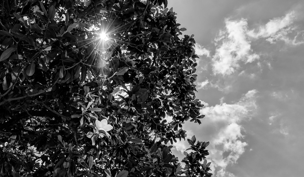 _DSC5774-Edit.jpg