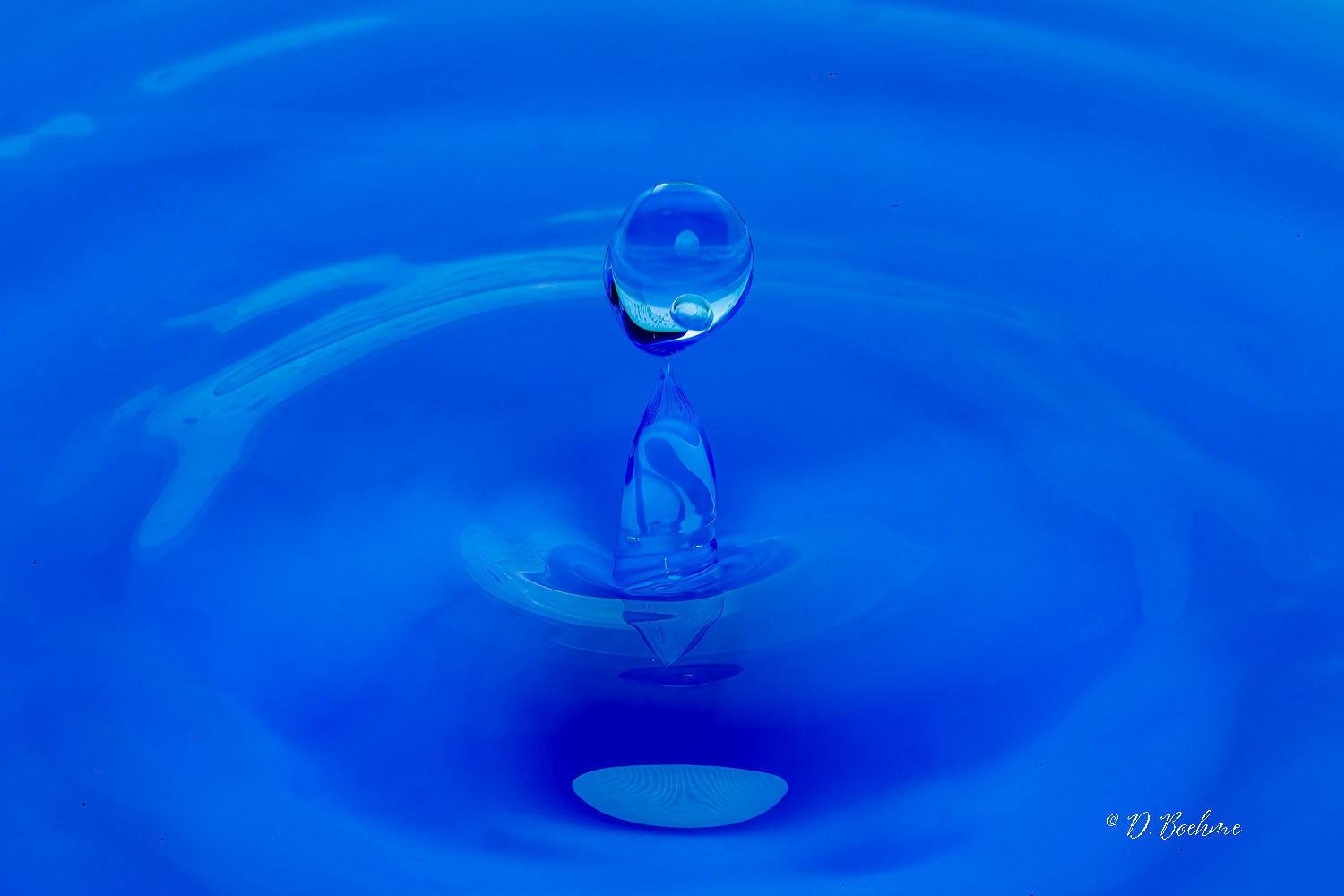 _DSC5819-SharpenAI-Focus.jpg