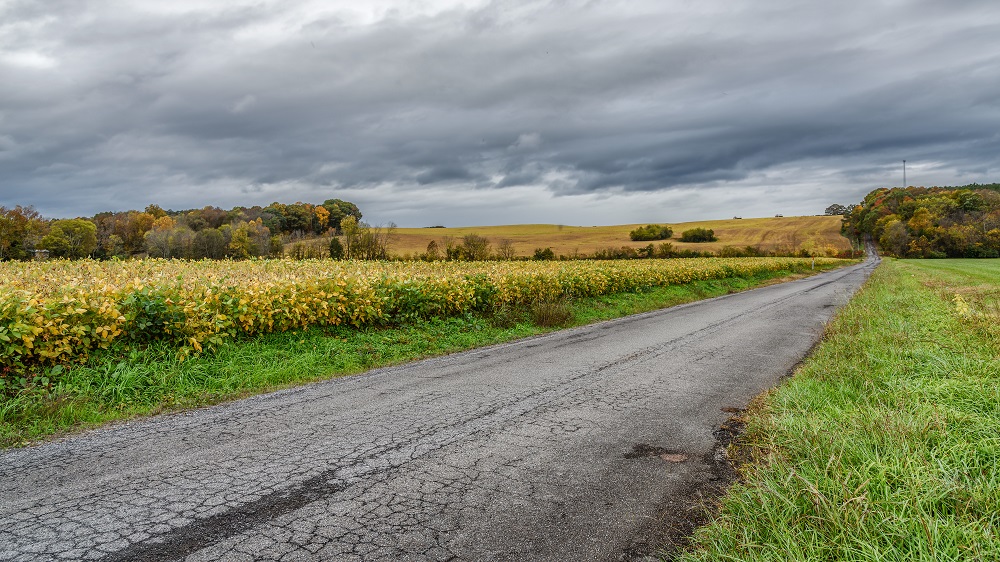 _DSC5903-Edit.jpg