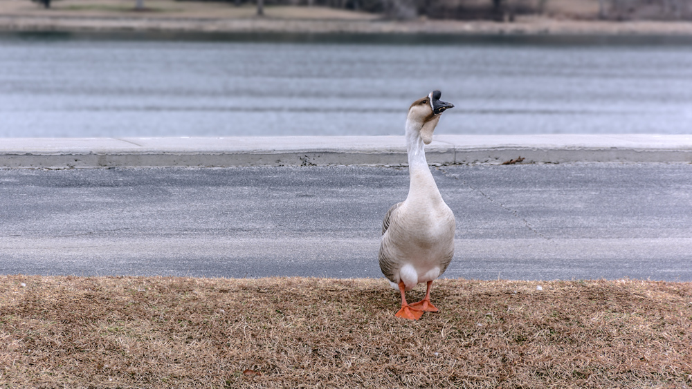 _DSC5943-Edit-2.jpg