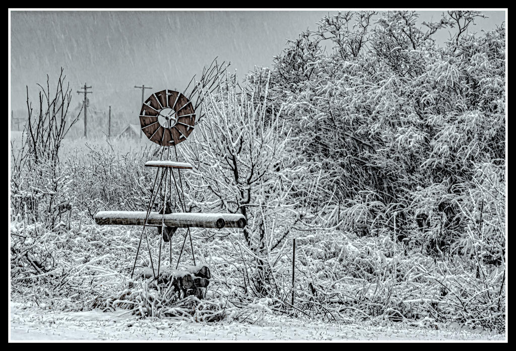 _DSC5951-Edit.jpg