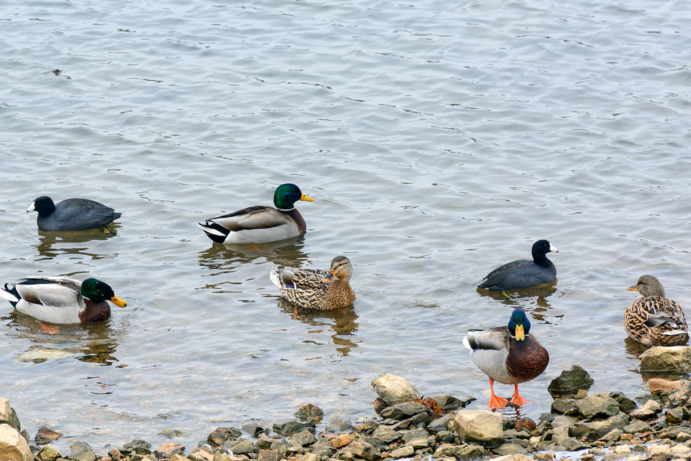 _DSC5963-Edit.jpg
