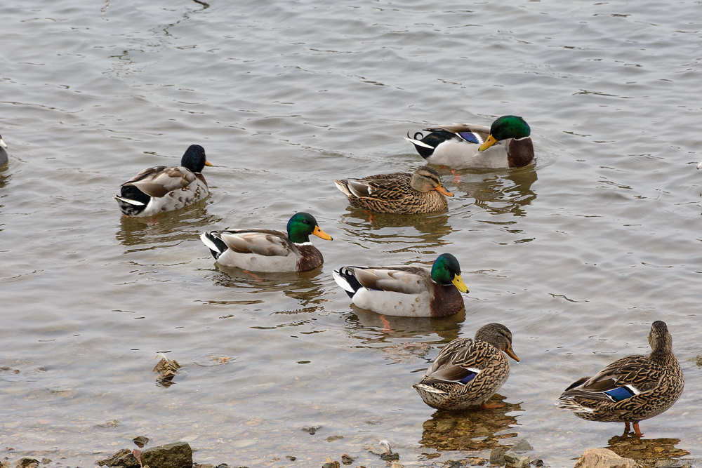 _DSC5965-Edit-2.jpg