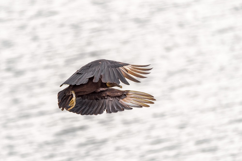_DSC6060-Edit.jpg