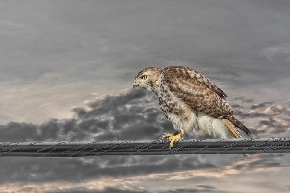 _DSC6061-Edit-2.jpg