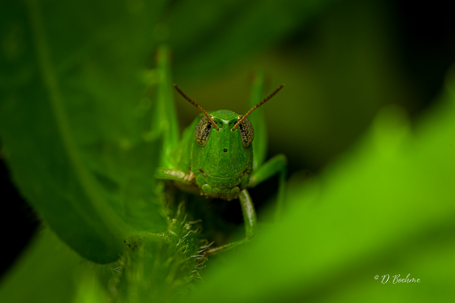 _DSC6077-SharpenAI-Motion.jpg