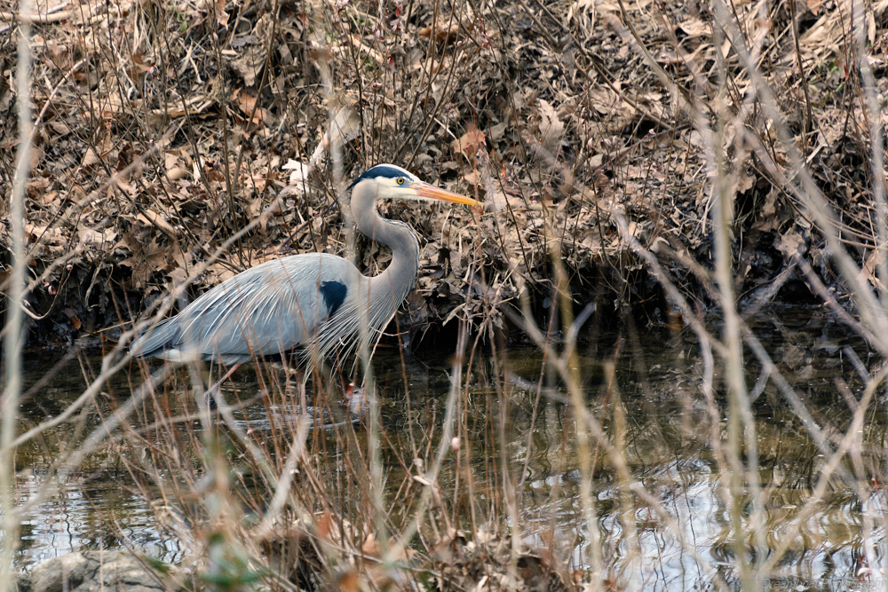 _DSC6080-Edit.jpg