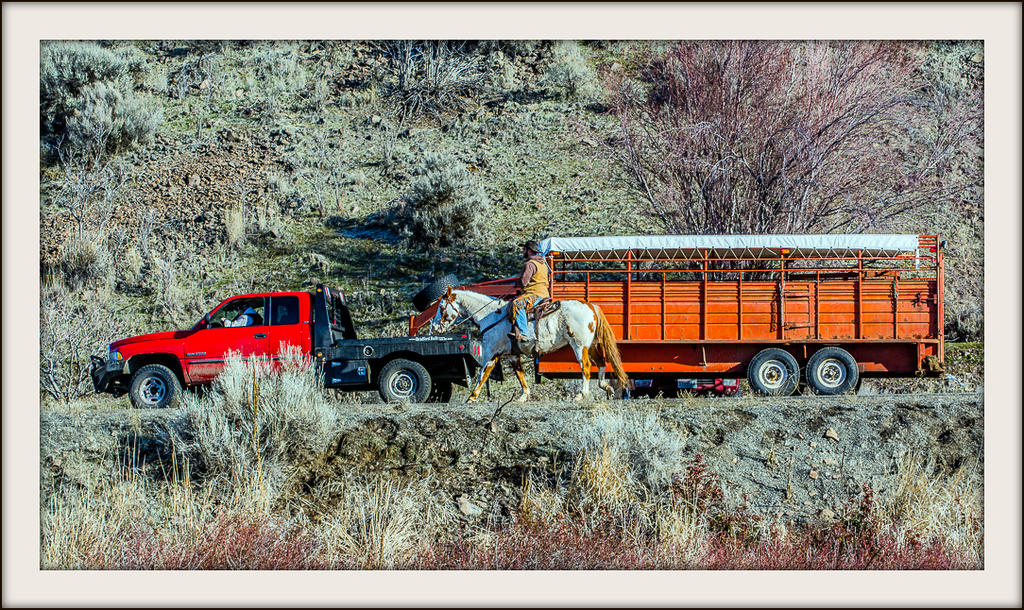 _DSC6084.jpg