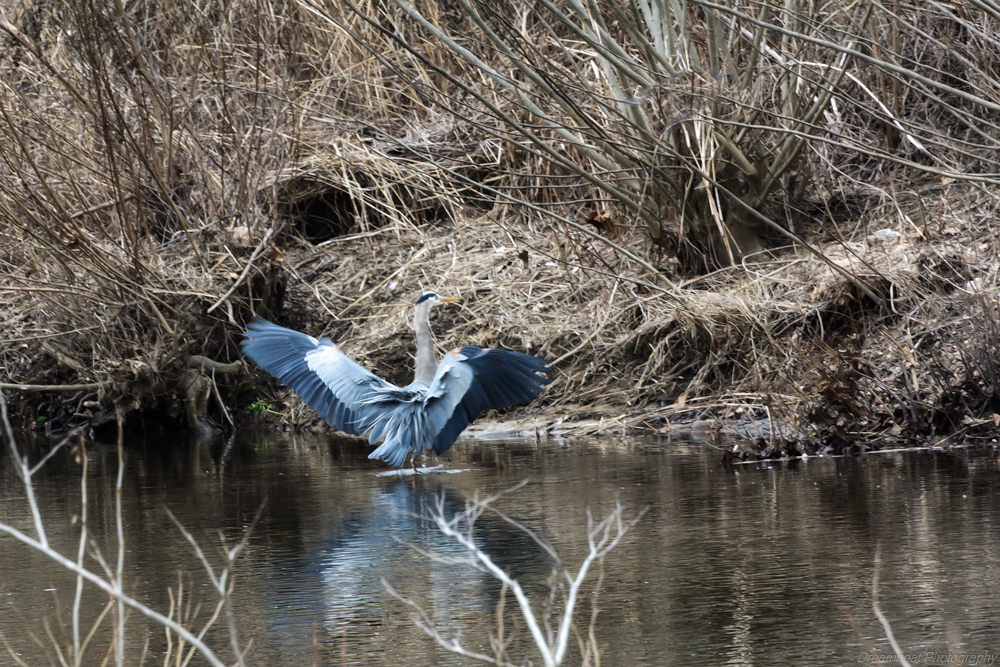 _DSC6092-Edit.jpg