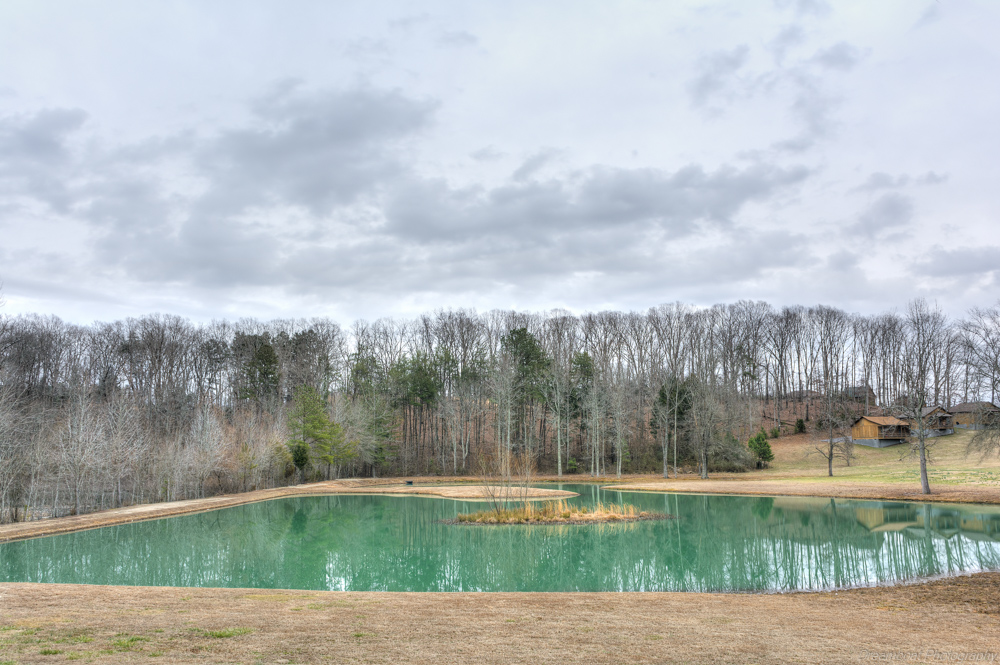_DSC6130-Edit.jpg