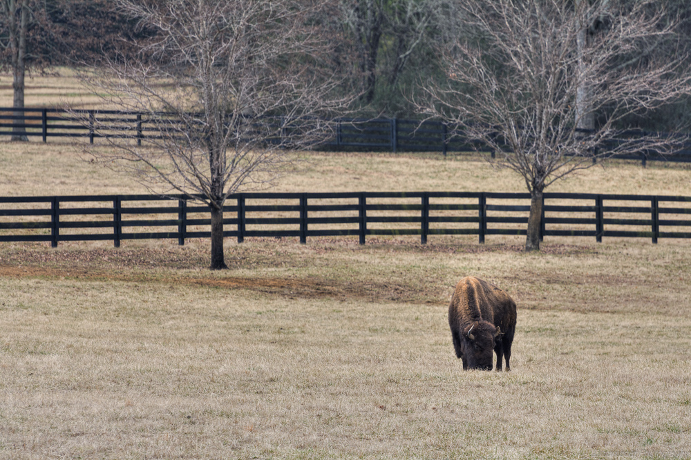 _DSC6133-Edit.jpg
