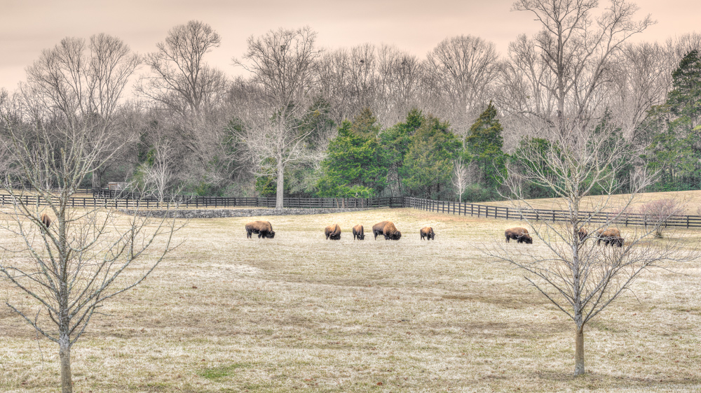 _DSC6142-Edit.jpg