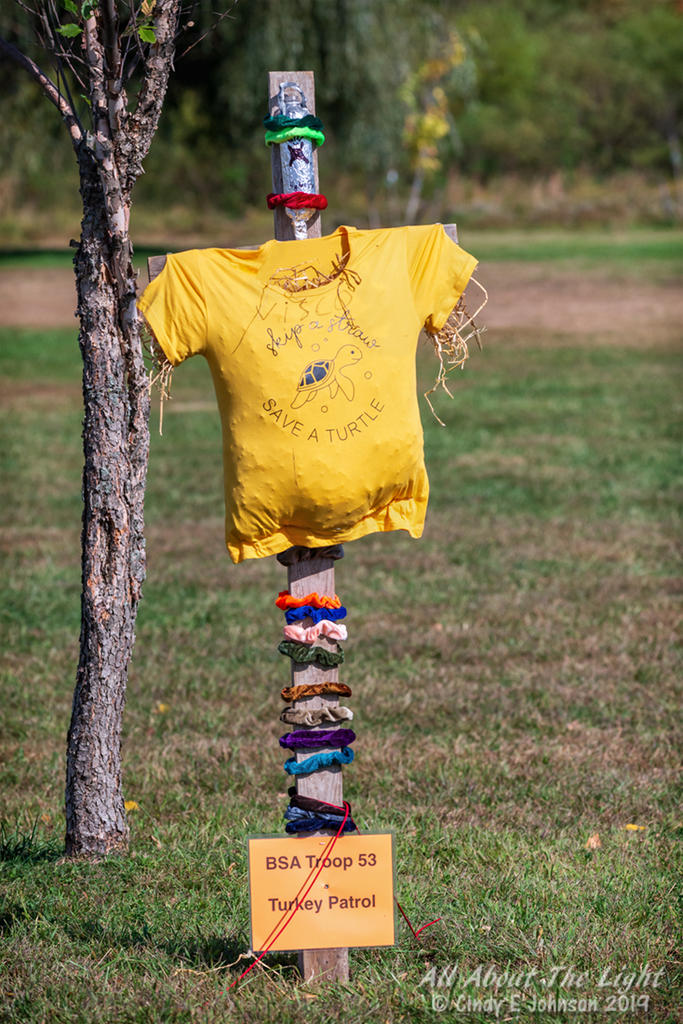 _DSC6189 low res.jpg