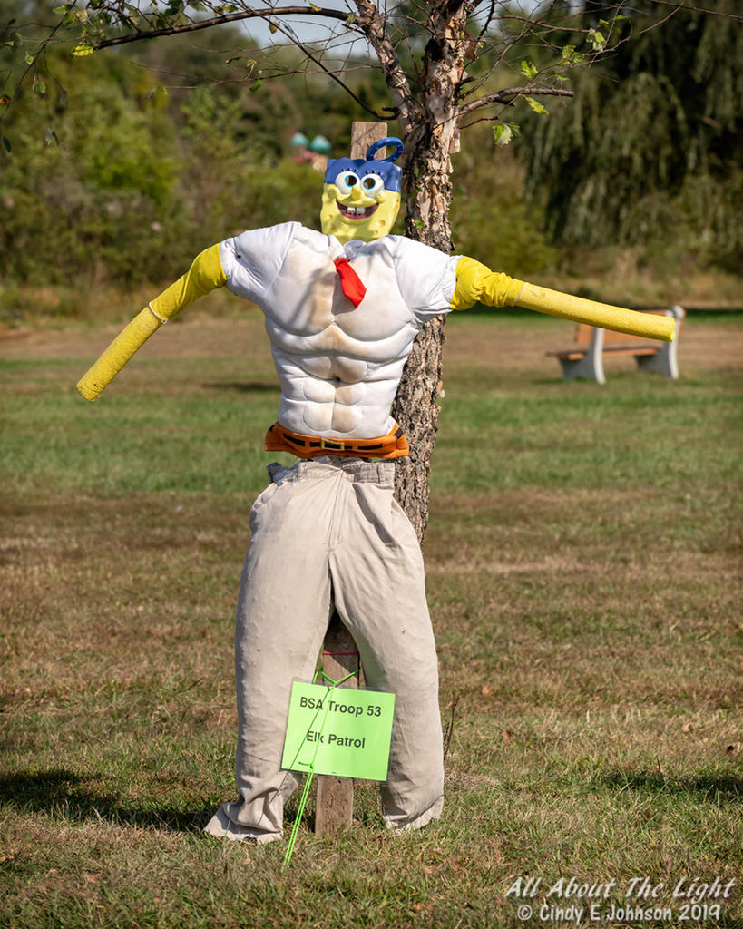 _DSC6193 low res.jpg