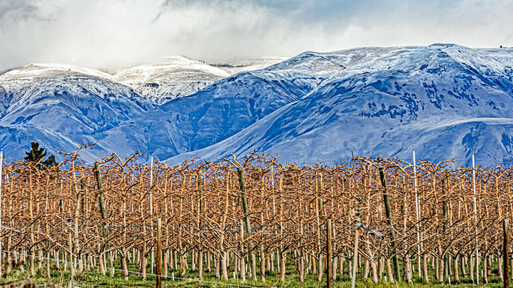 _DSC6207-HDR-Edit.jpg