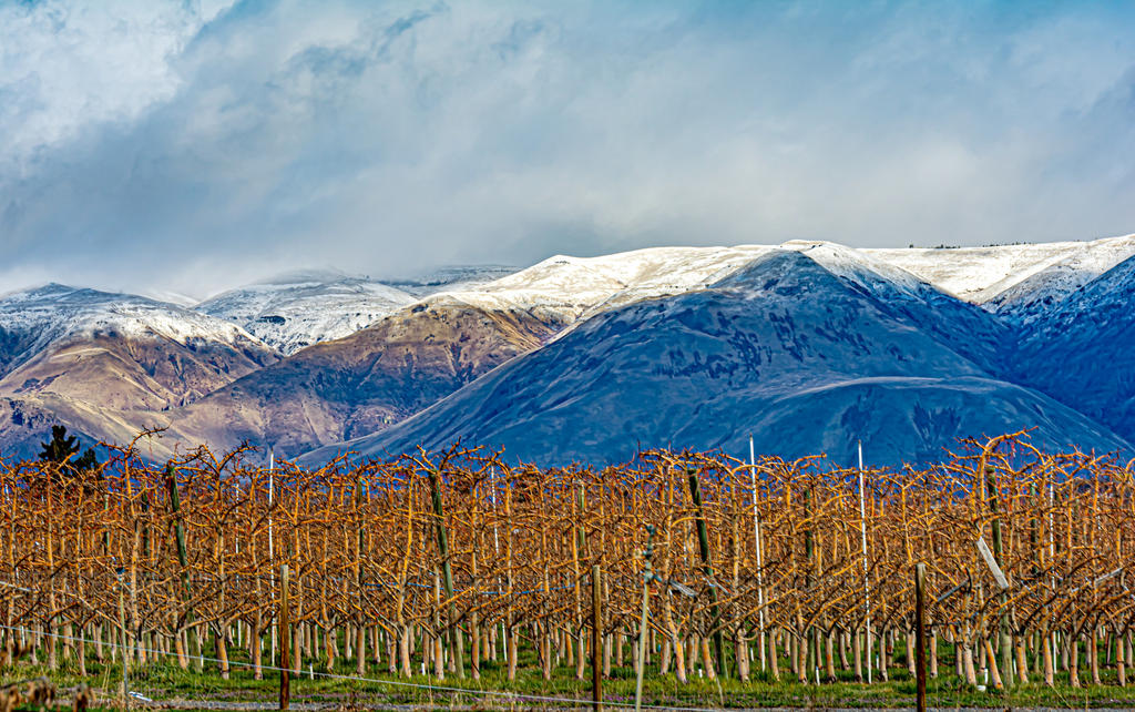_DSC6222-HDR-Edit.jpg