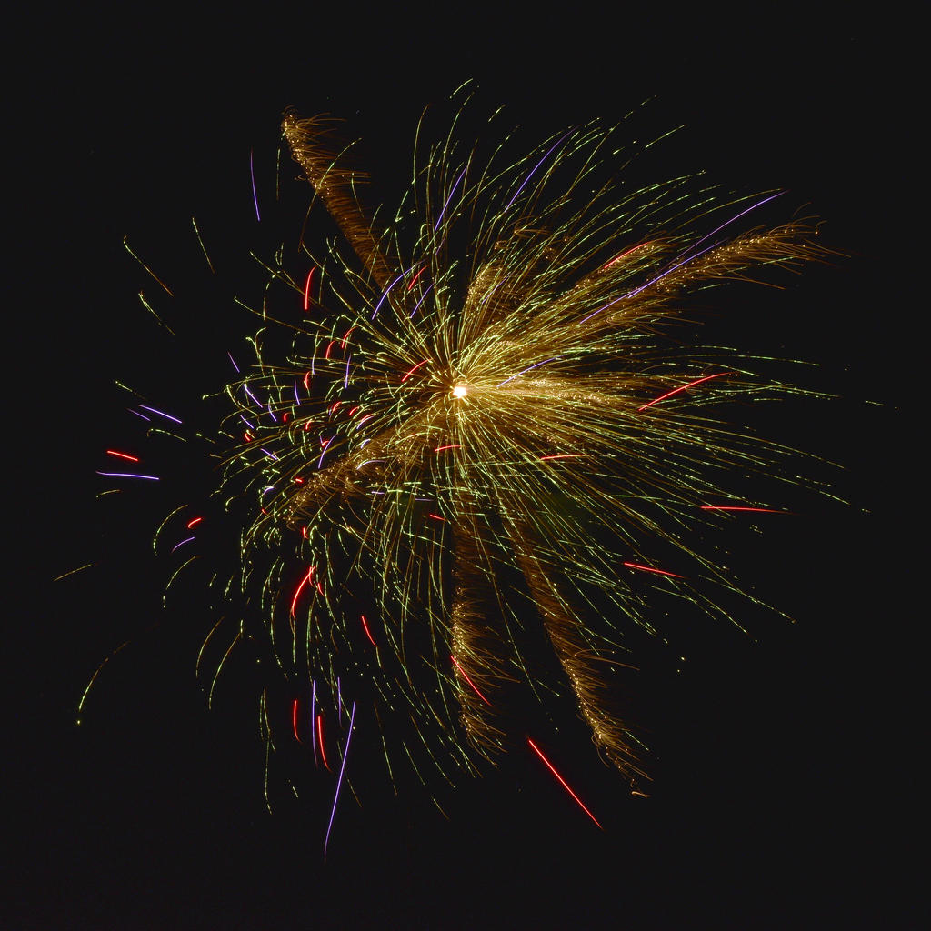 _DSC6265.jpg