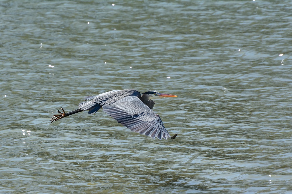 _DSC6280-Edit.jpg