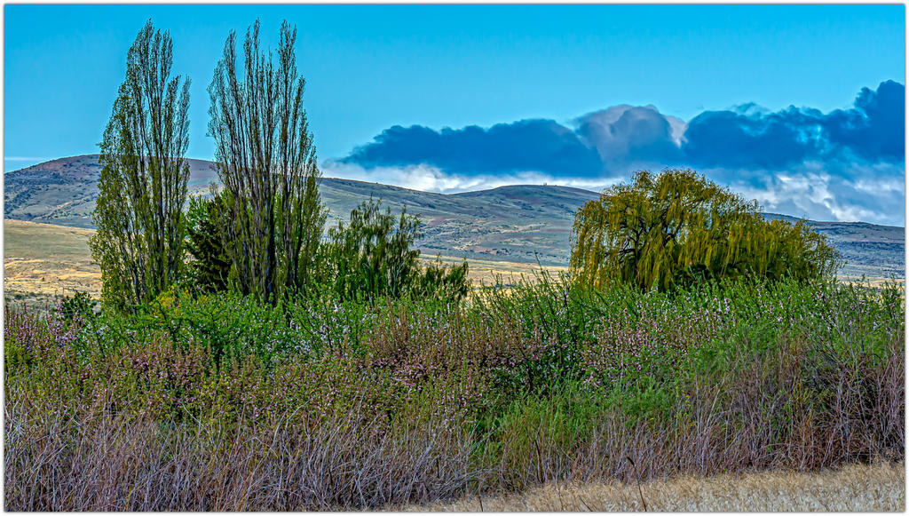 _DSC6300-Edit.jpg