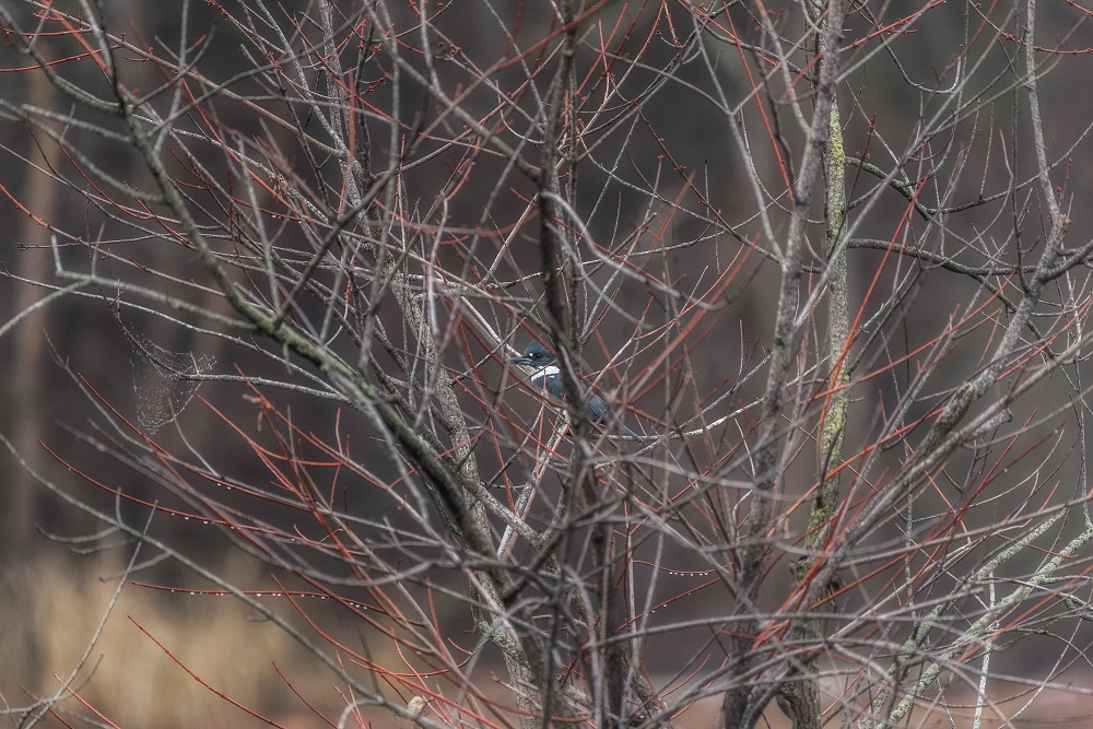 _DSC6306-Edit.jpg