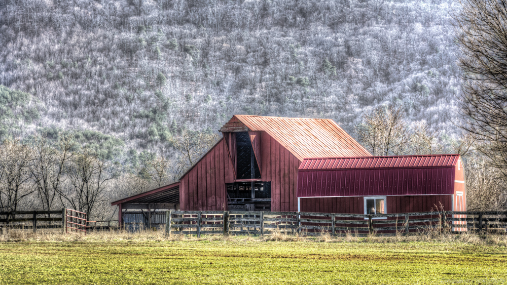 _DSC6339-2.jpg
