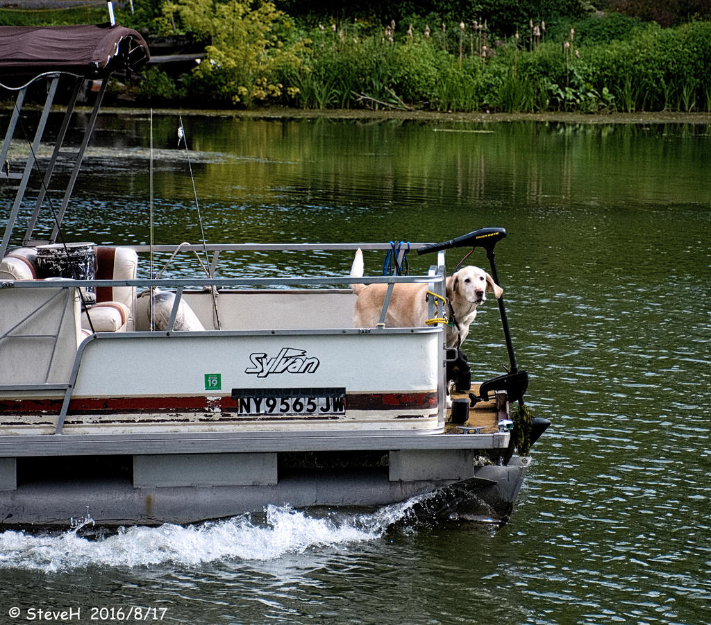 _DSC6351.jpg