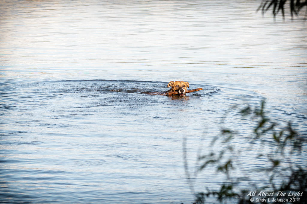 _DSC6357 low res.jpg