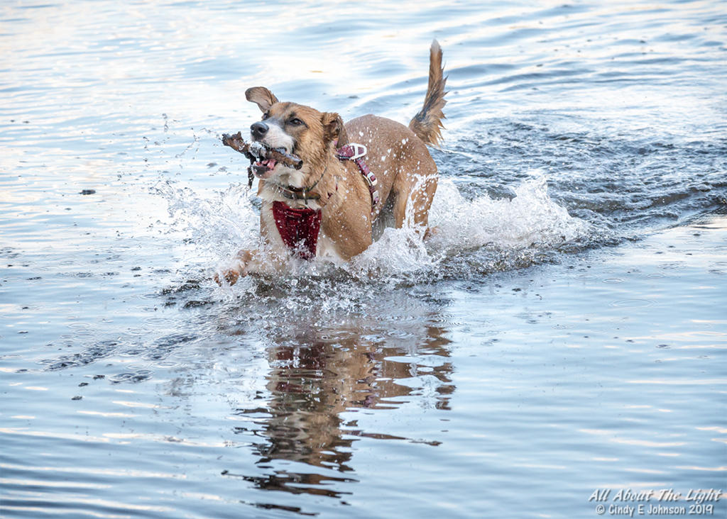 _DSC6362 low res.jpg