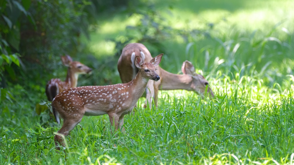 _DSC6386-Edit.jpg
