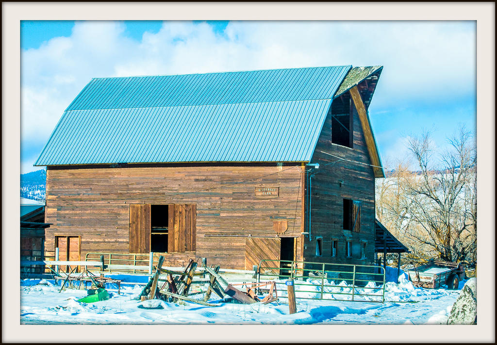 _DSC6387.jpg