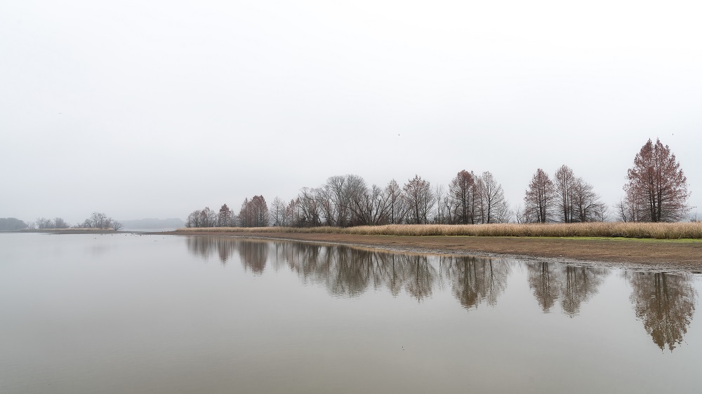 _DSC6394-Edit.jpg