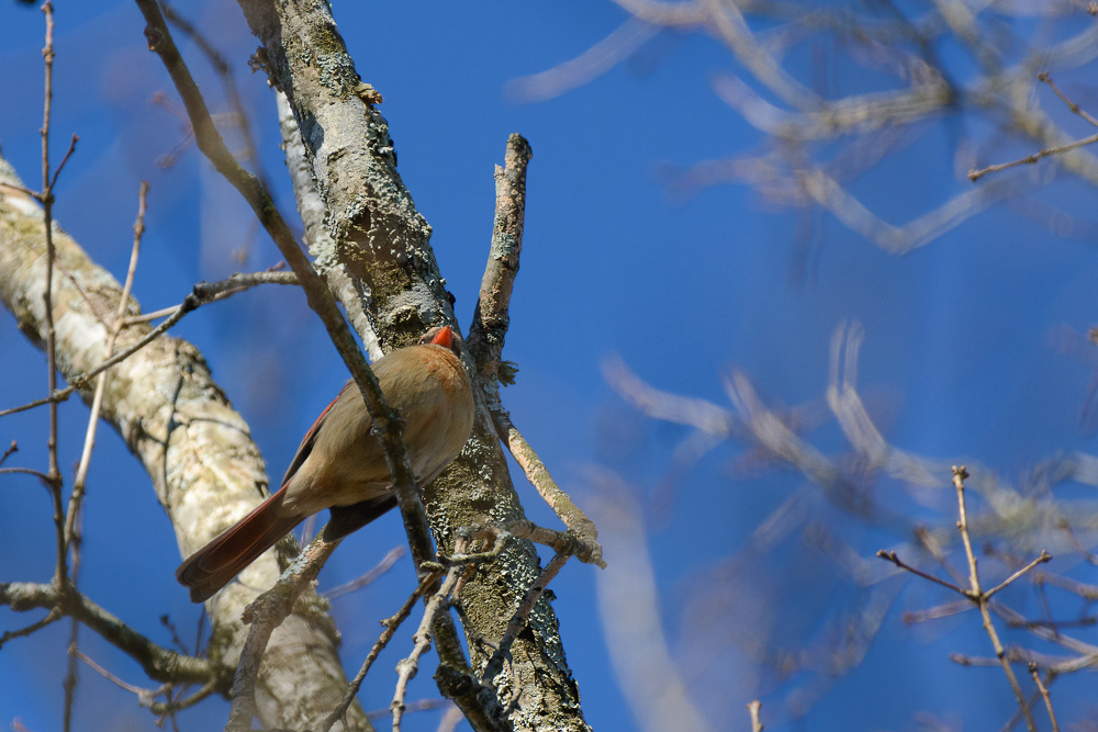 _DSC6482-Edit.jpg
