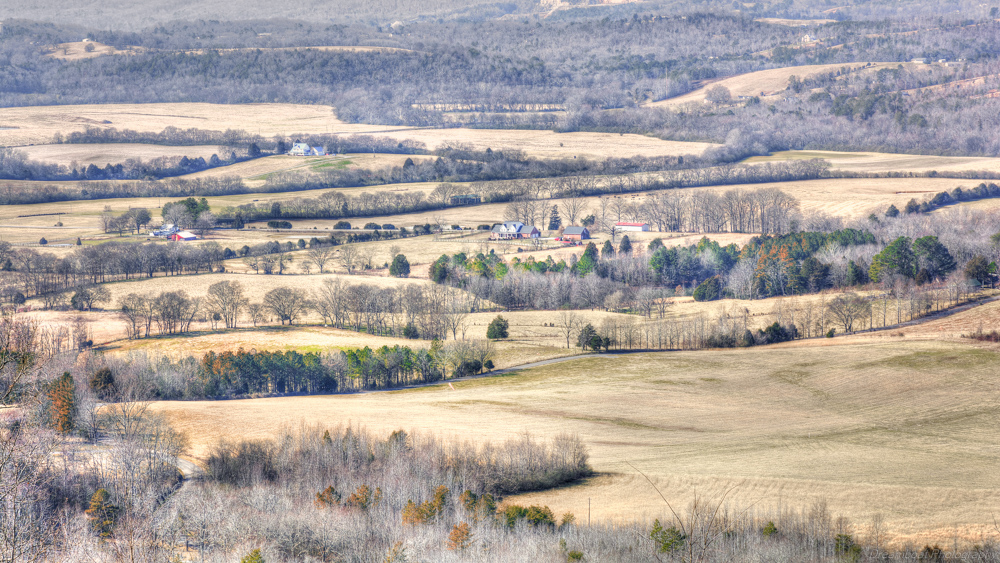 _DSC6511-Edit.jpg
