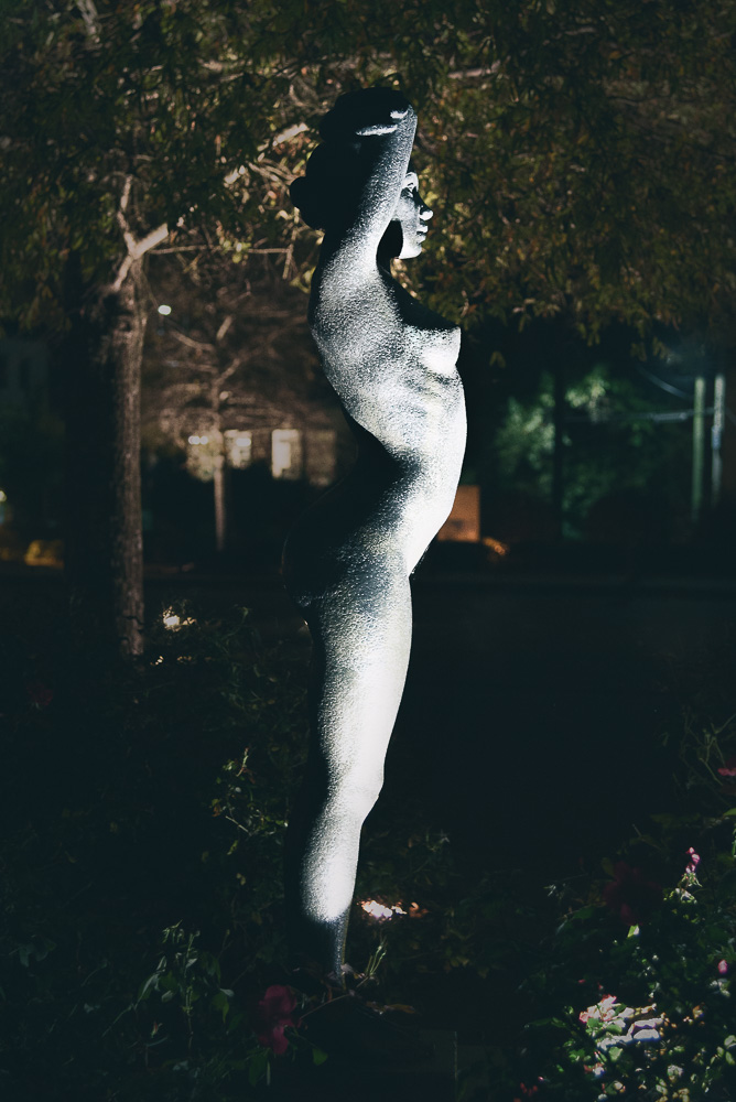 _DSC6523-Edit.jpg