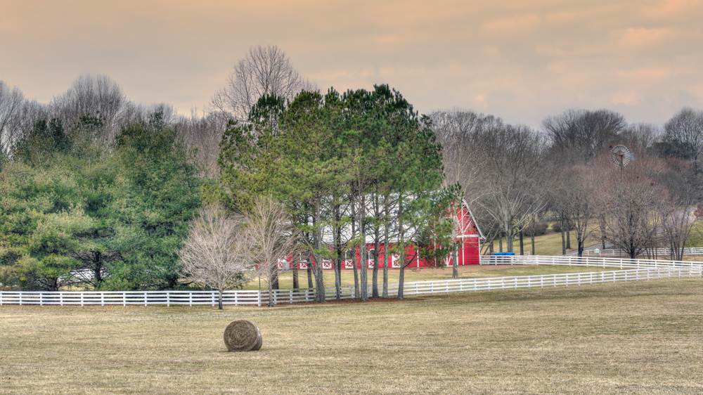 _DSC6569-Edit.jpg