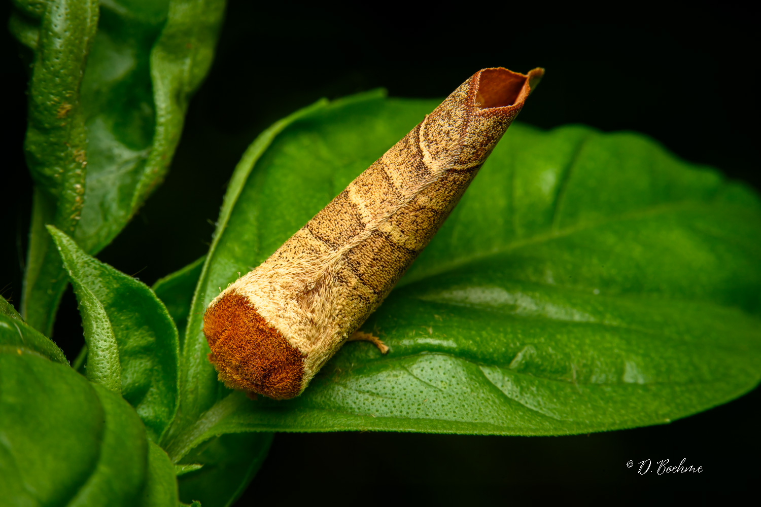 _DSC6591-topaz-denoiseraw-sharpen.jpg