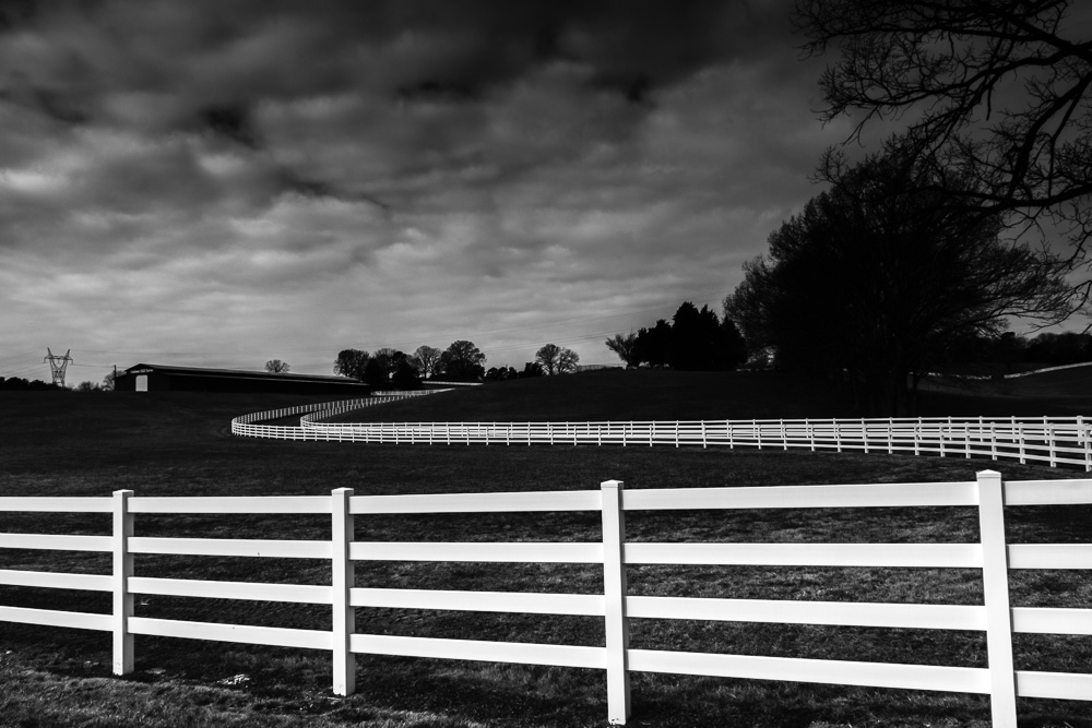_DSC6597-Edit.jpg