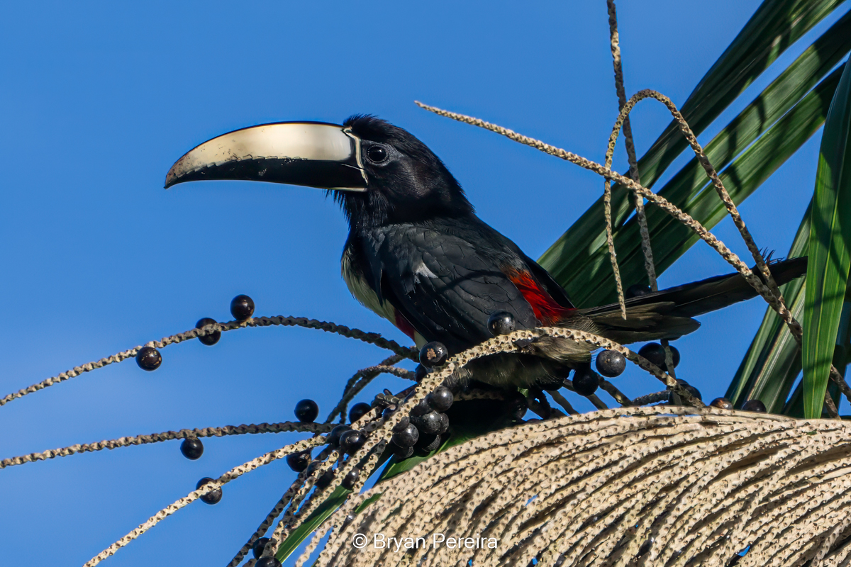 _DSC6597-Edit.jpg