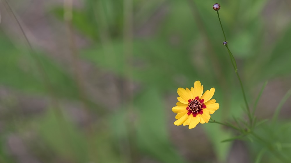 _DSC6614-Edit-2.jpg