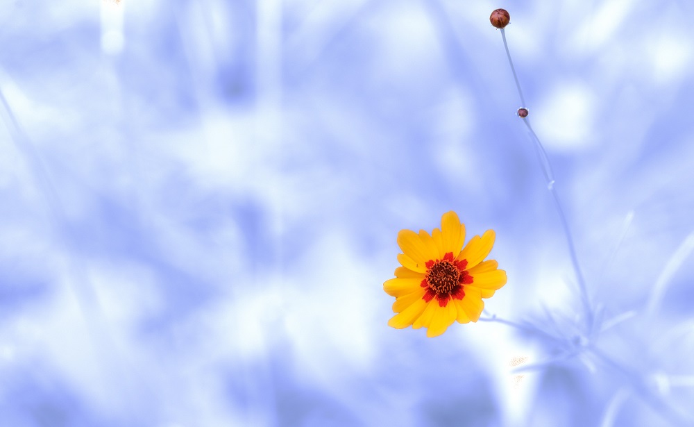 _DSC6614-Edit.jpg