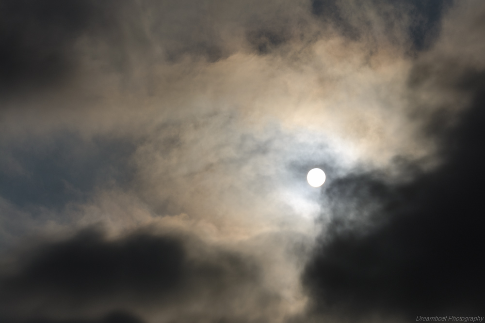 _DSC6616-Edit.jpg